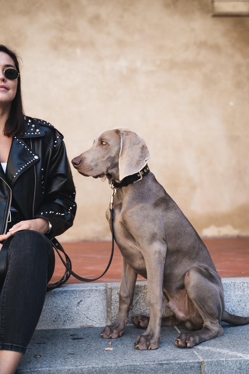 Vegan Leather Dog Leash Black