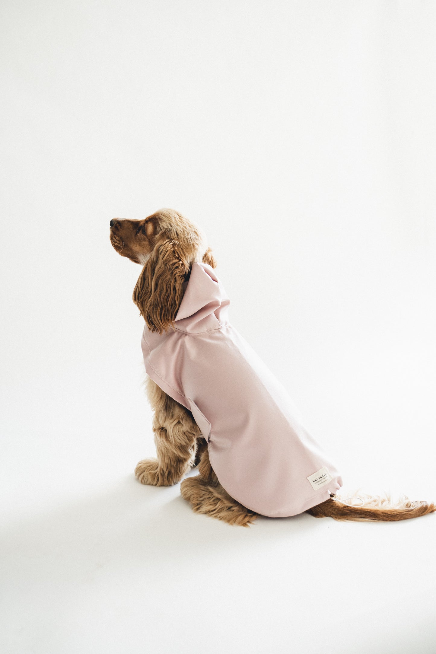 Dog Raincoat Dusty Pink