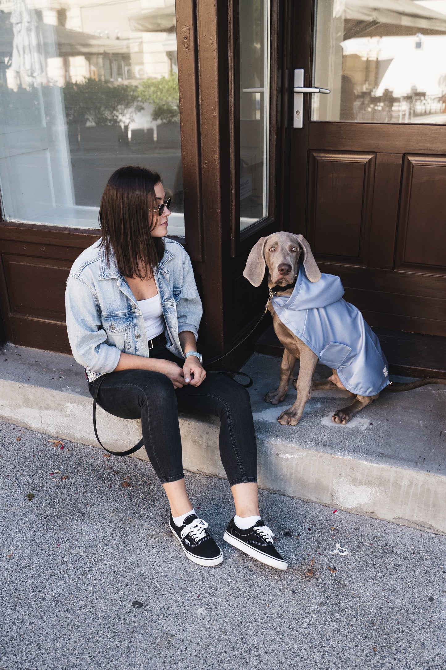 Dog Raincoat Blue