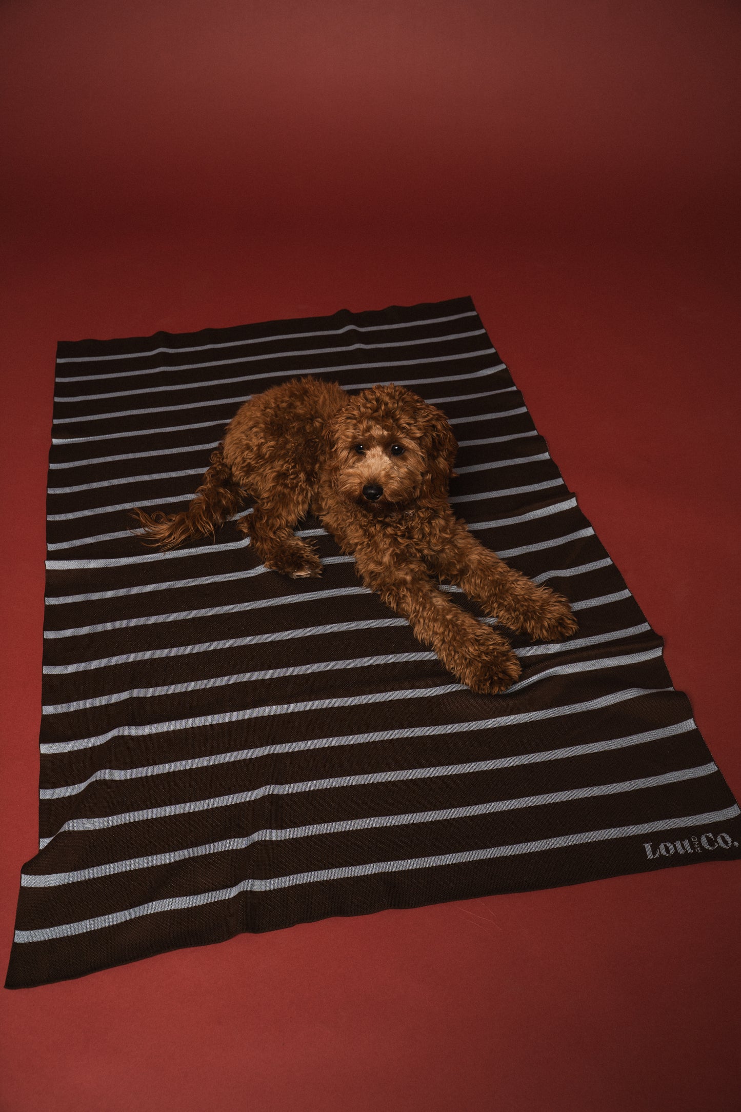 Blanket Brown Stripes