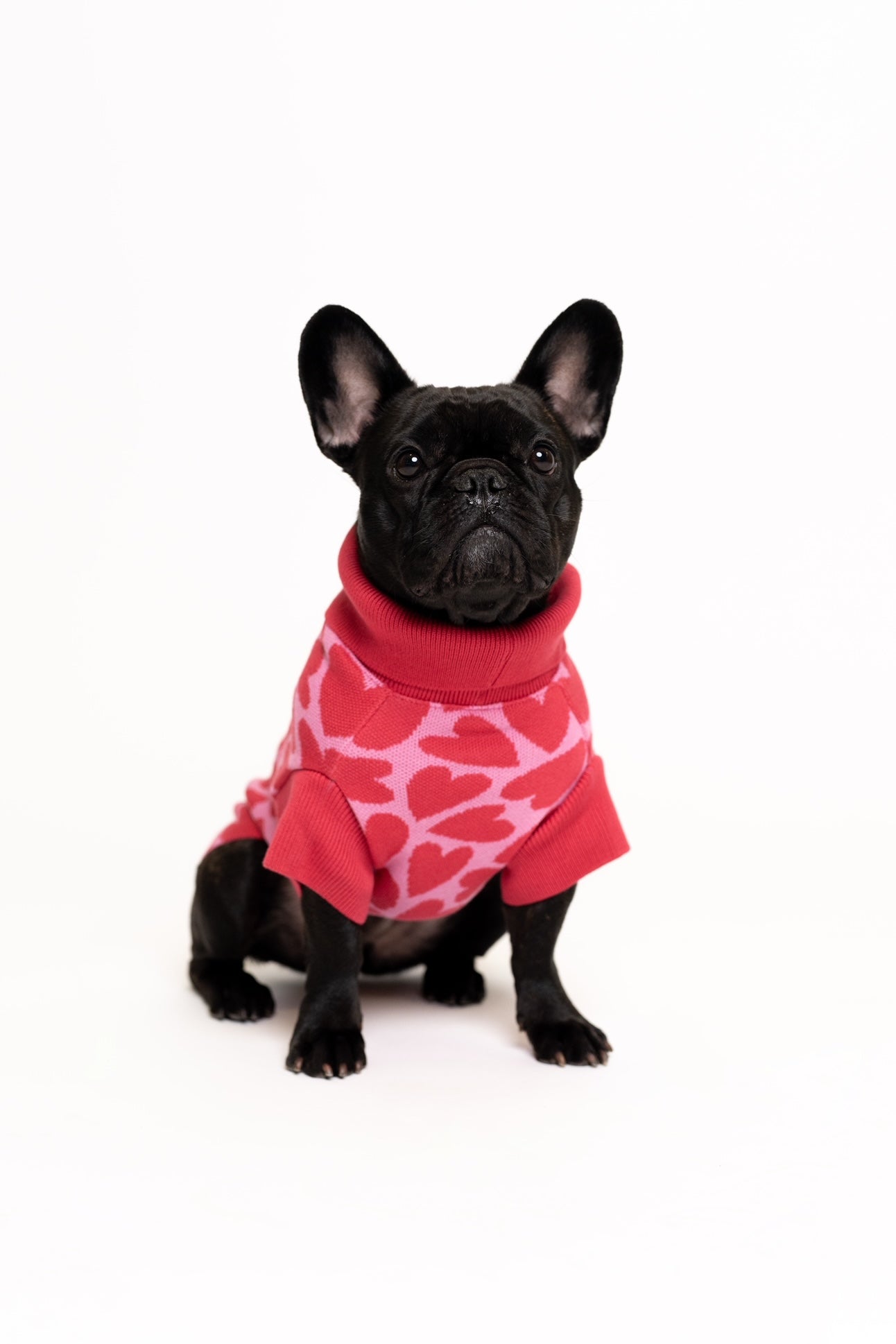 Dog Sweater Pink Hearts