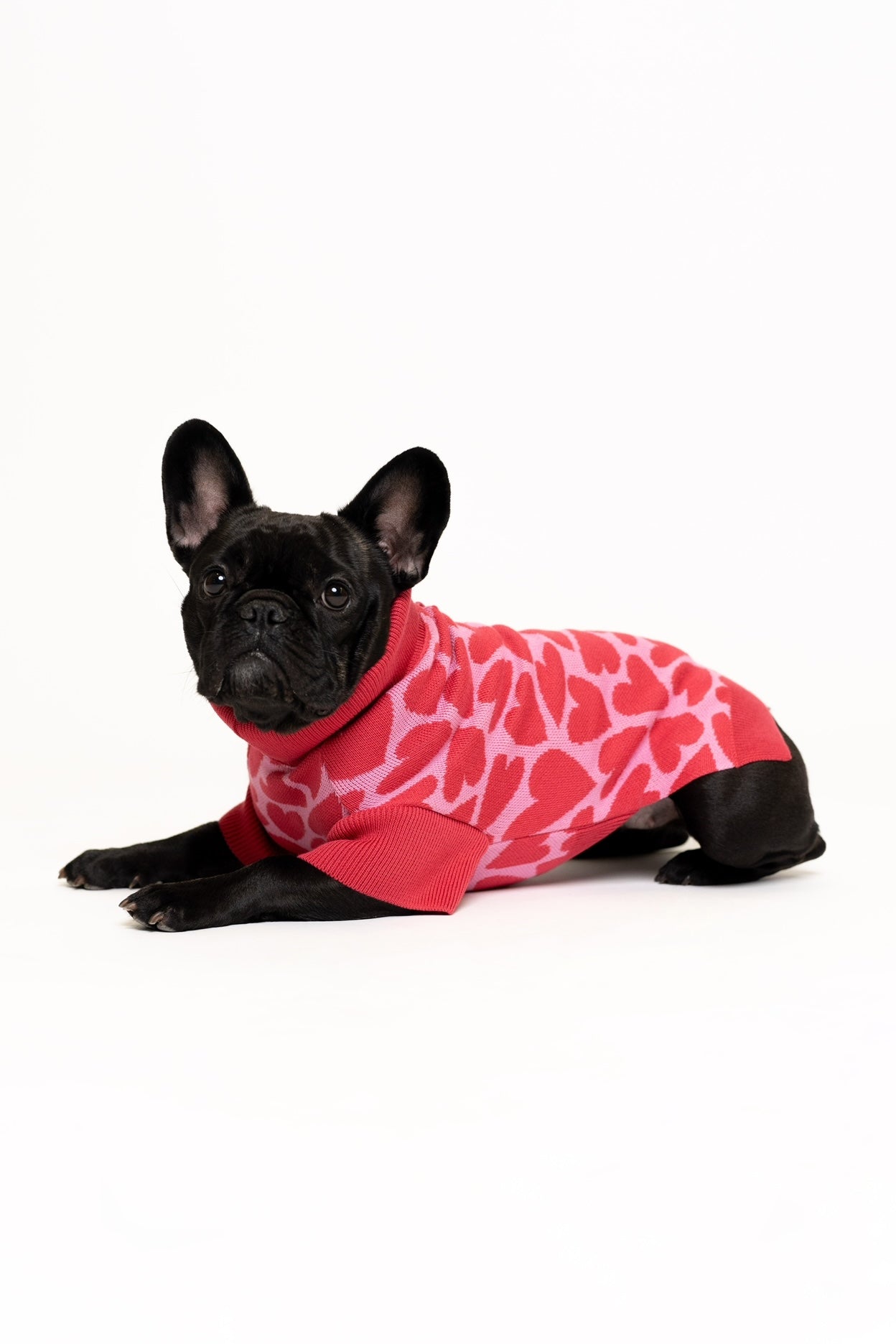 Dog Sweater Pink Hearts