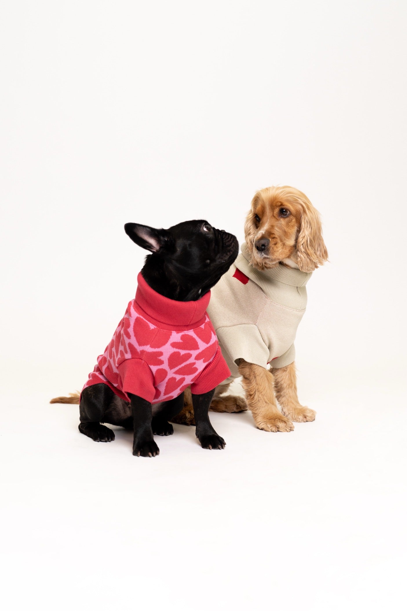 Dog Sweater Pink Hearts