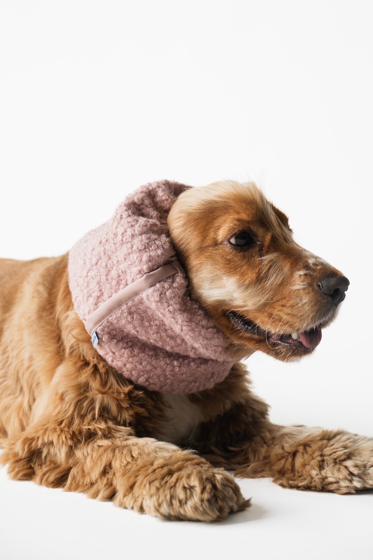 Winter Dog Snood Pink