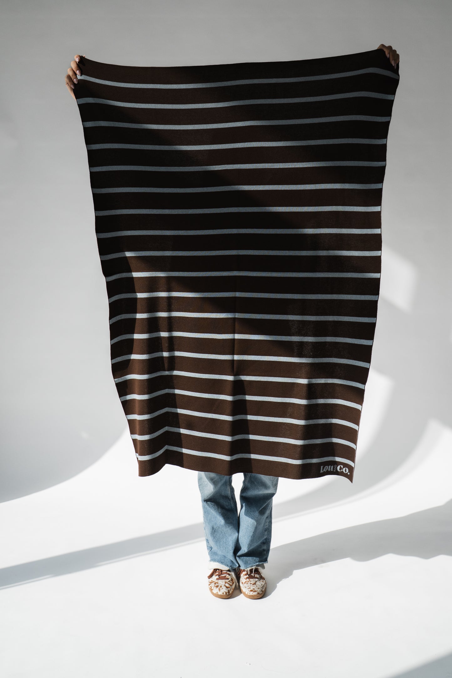 Blanket Brown Stripes
