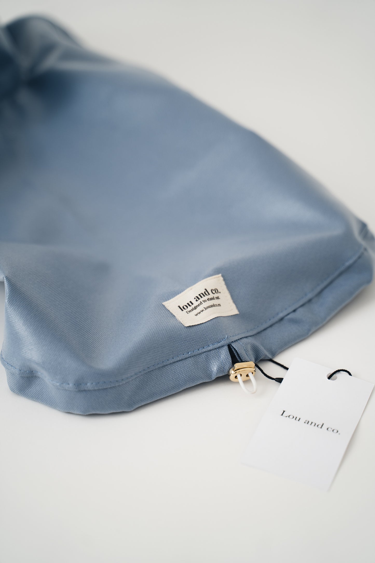 Dog Raincoat Blue