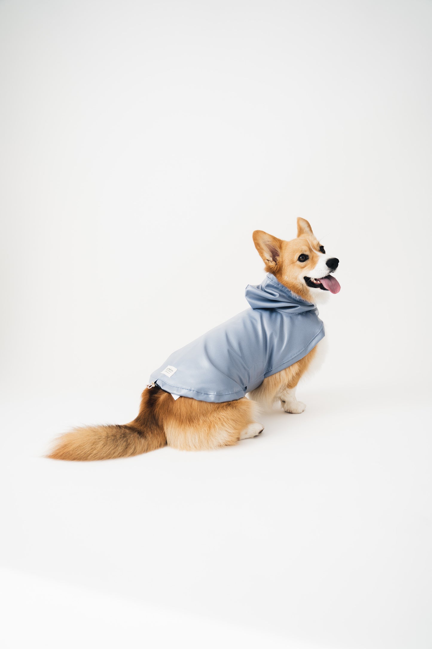 Dog Raincoat Blue