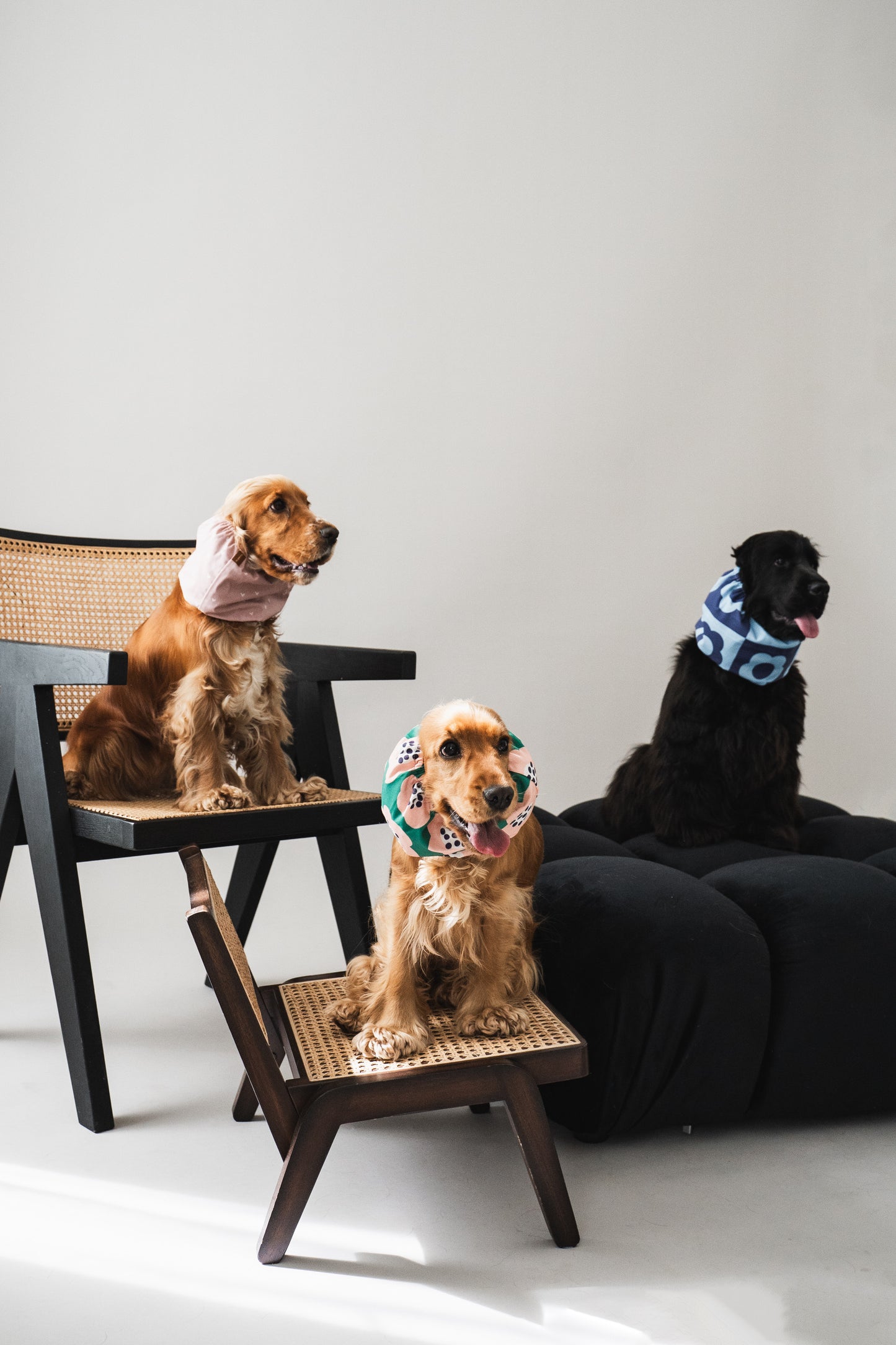 Waterproof Dog Snood Dusty Pink