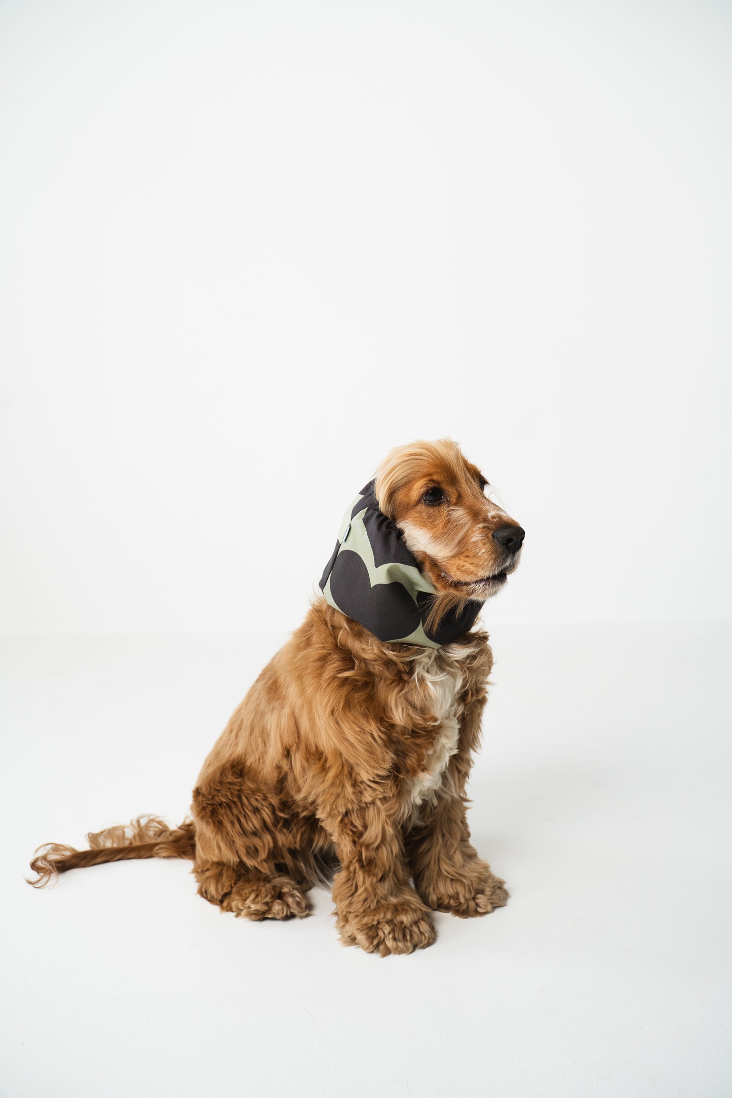 Dog Snood Grey Hearts