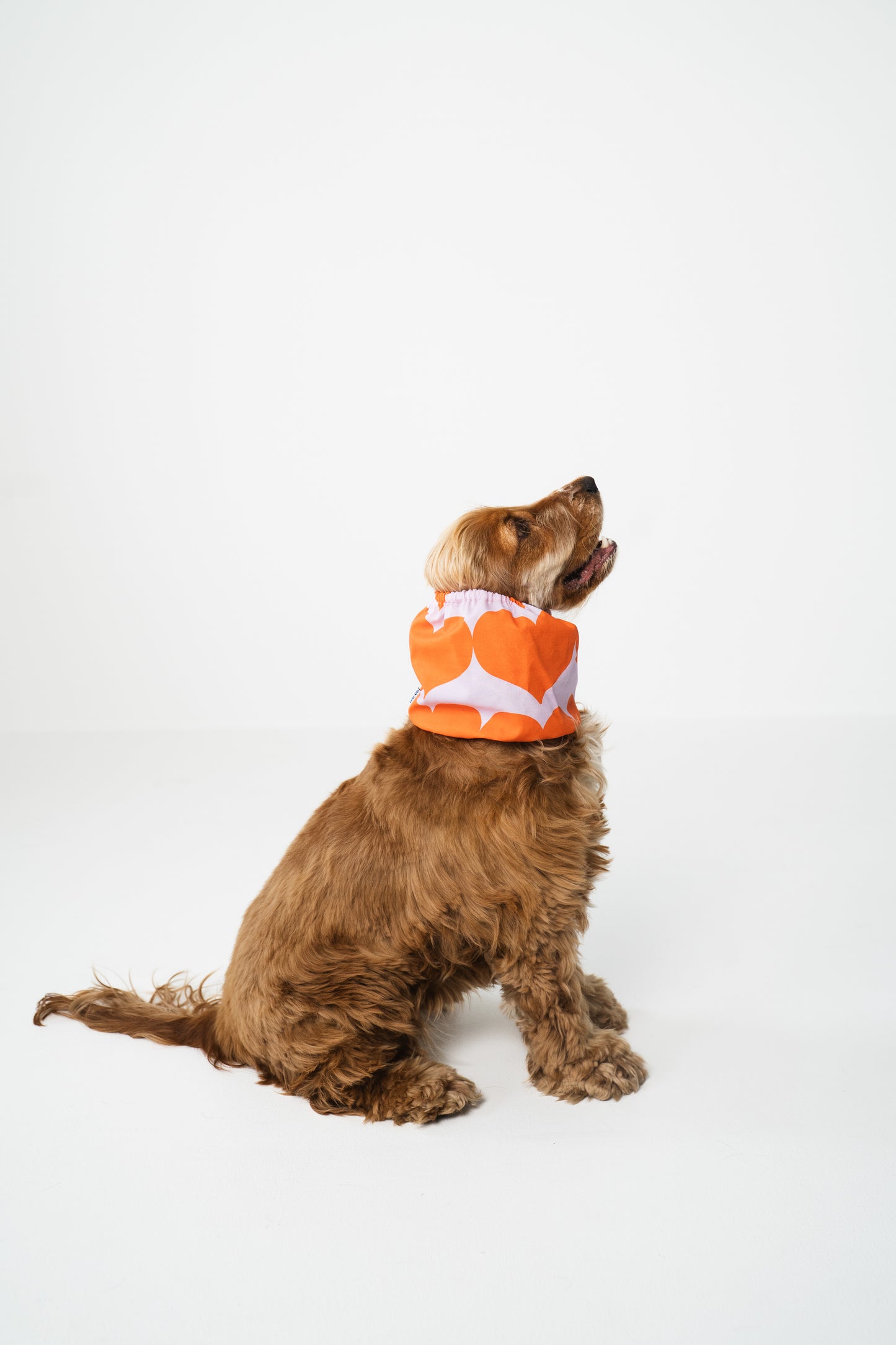 Dog Snood Orange Hearts