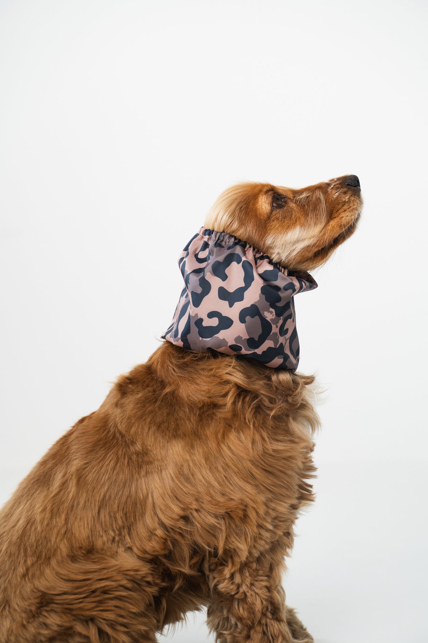 Waterproof Dog Snood Animal Print
