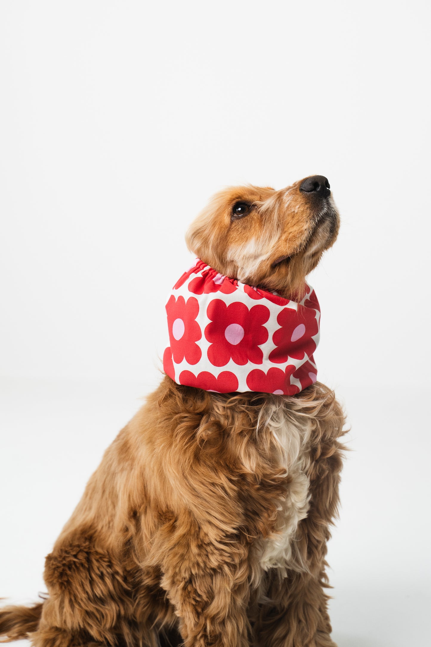 Dog Snood Retro Flowers