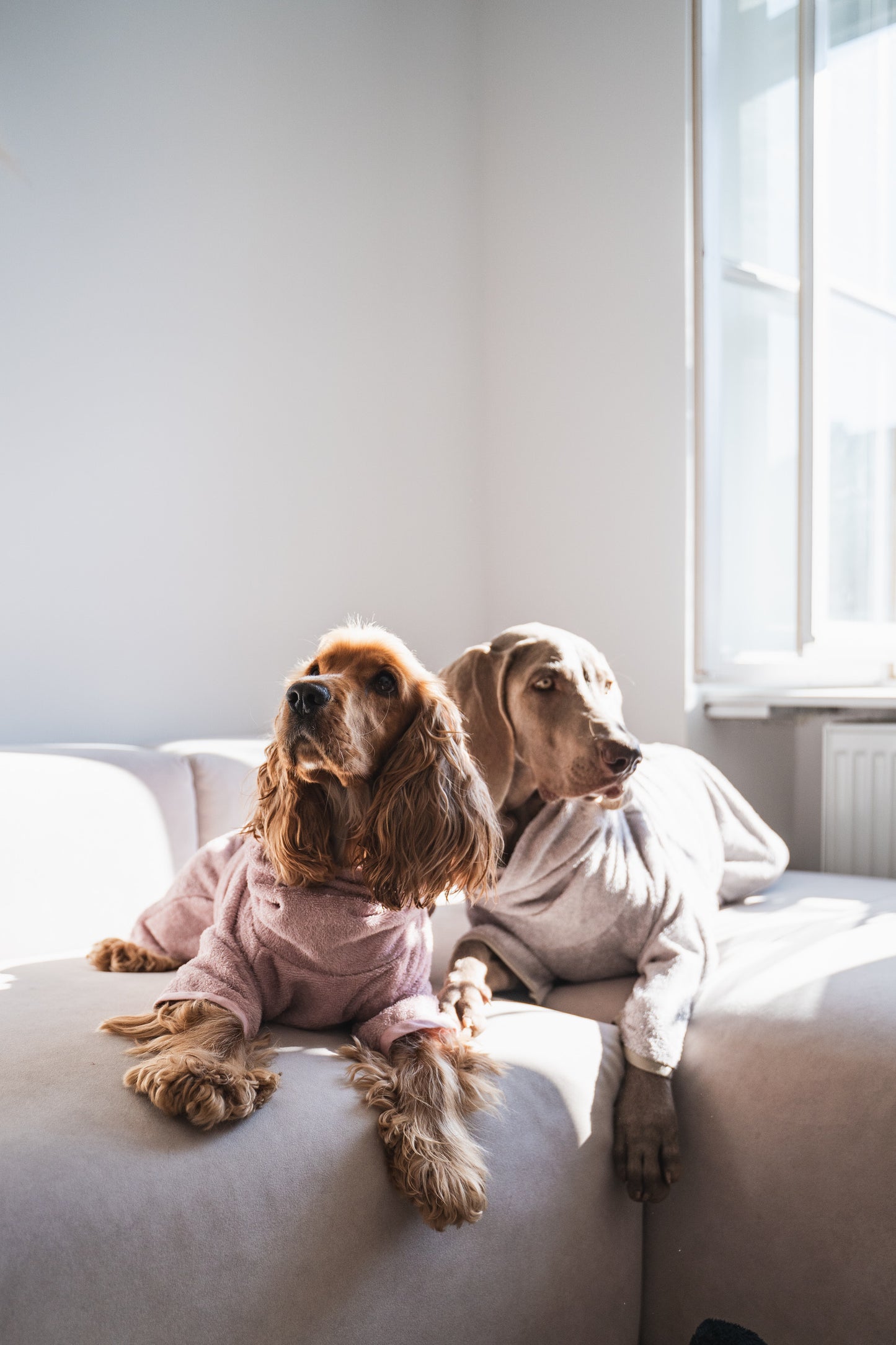 Dog Bathrobe Dusty Pink