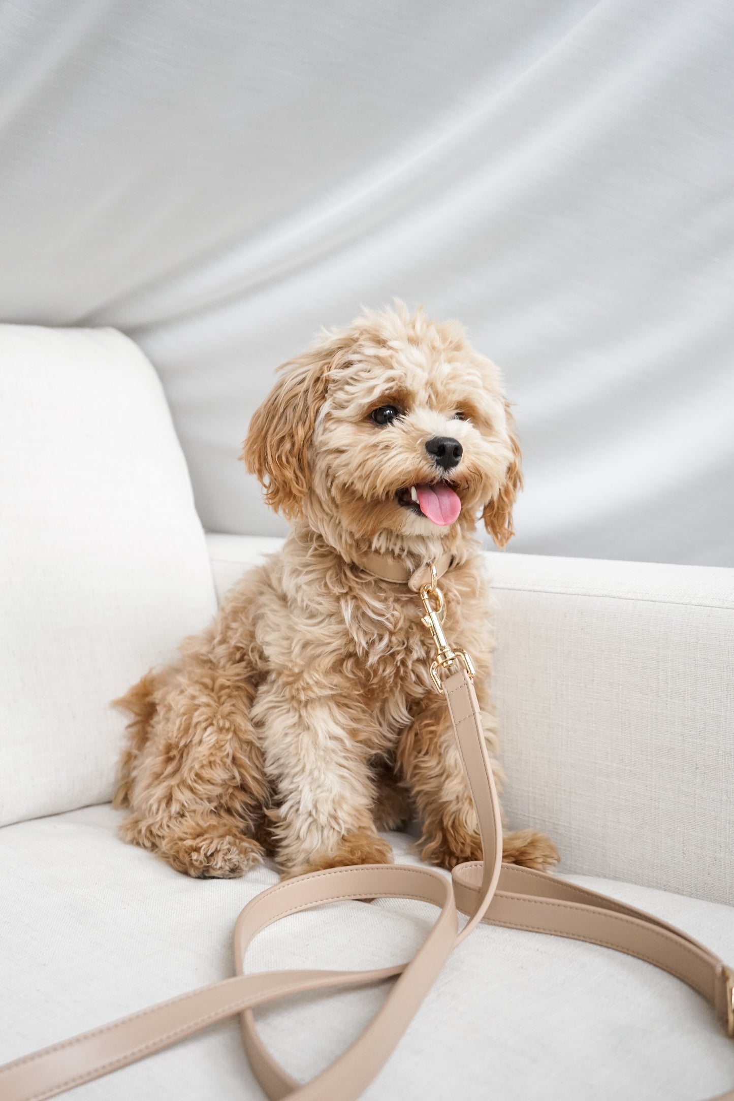 Vegan Leather Dog Collar Beige