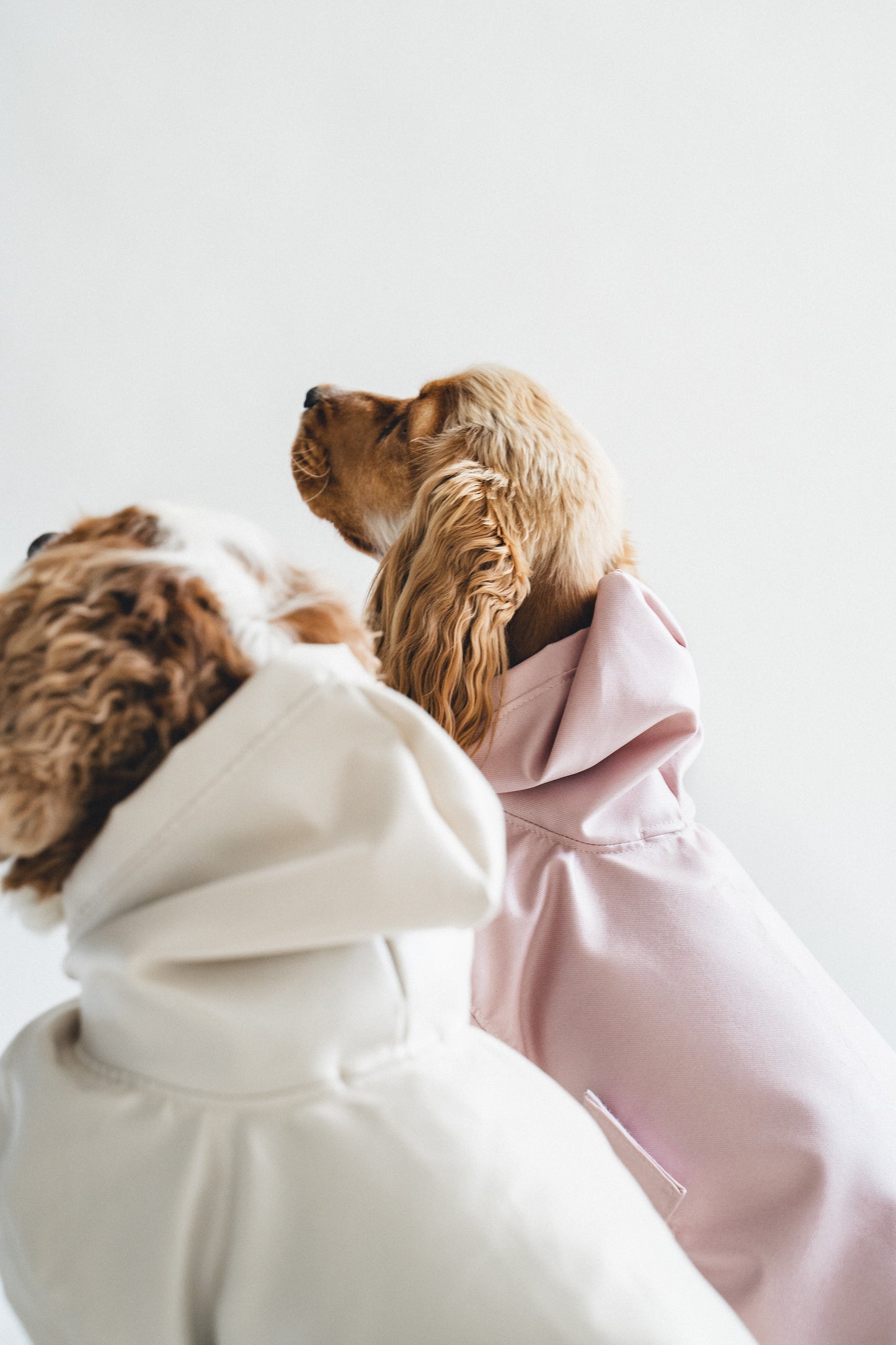 Dog Raincoat Dusty Pink