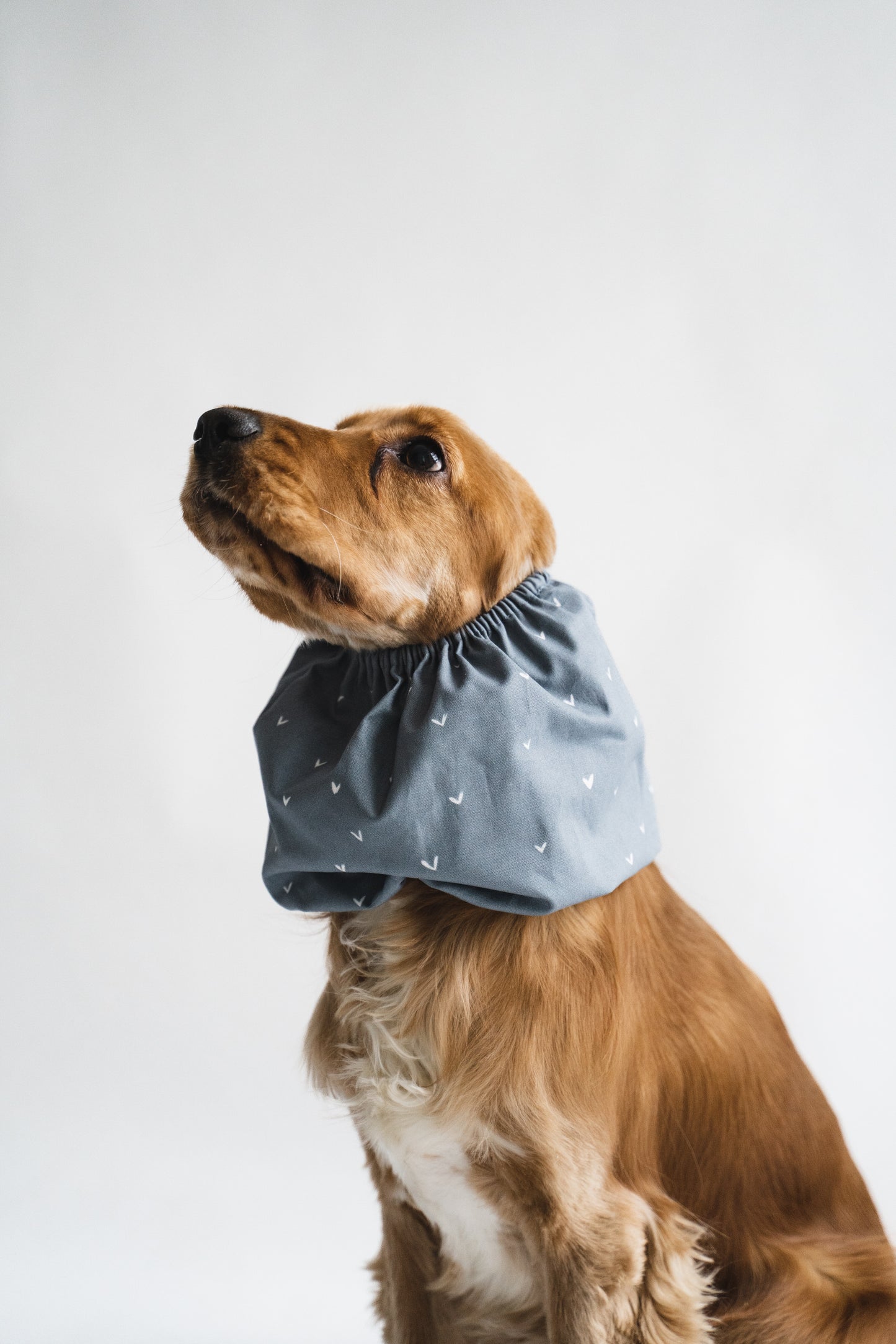 Dog Snood Navy Blue