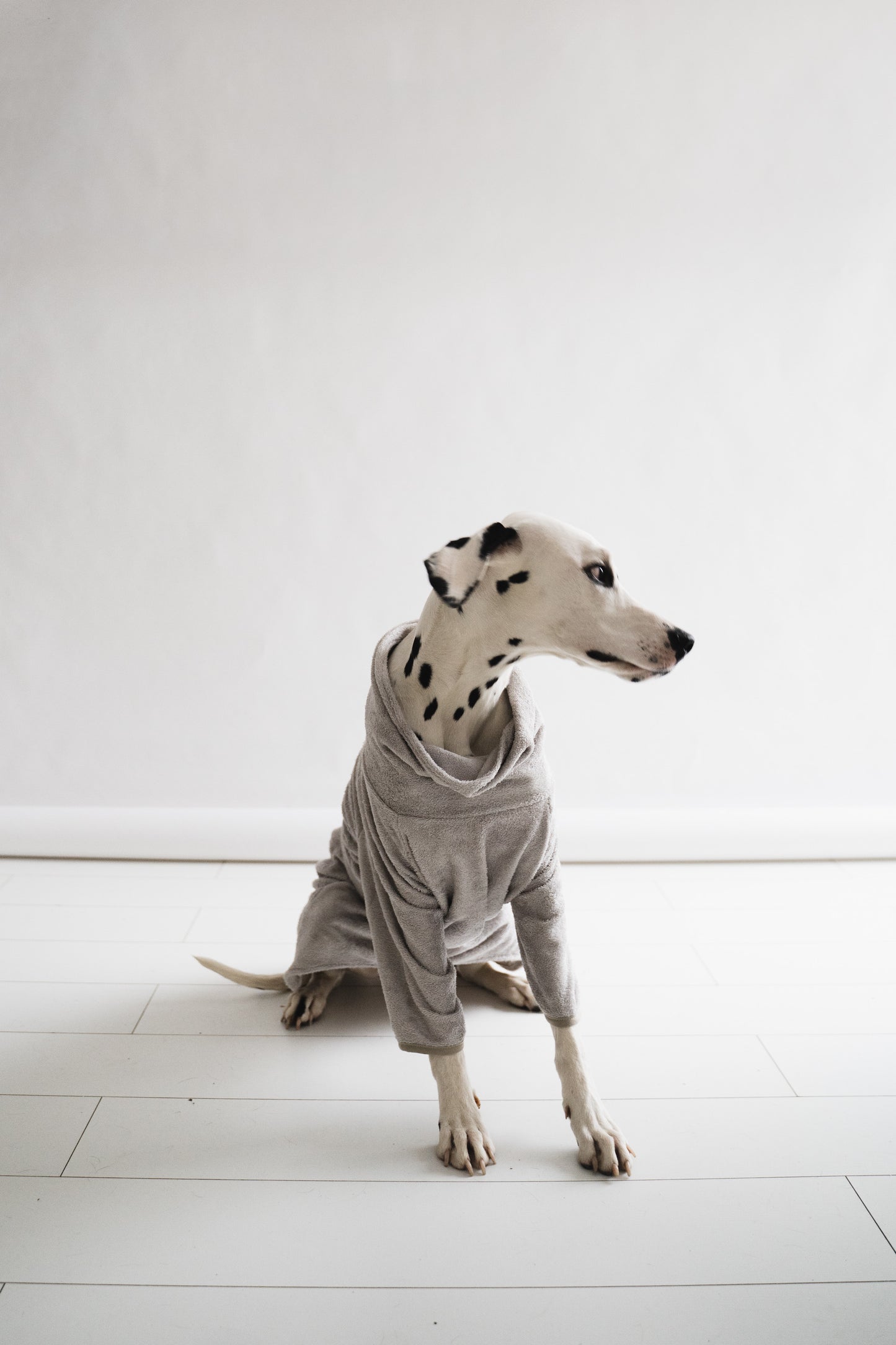 Dog Bathrobe Grey