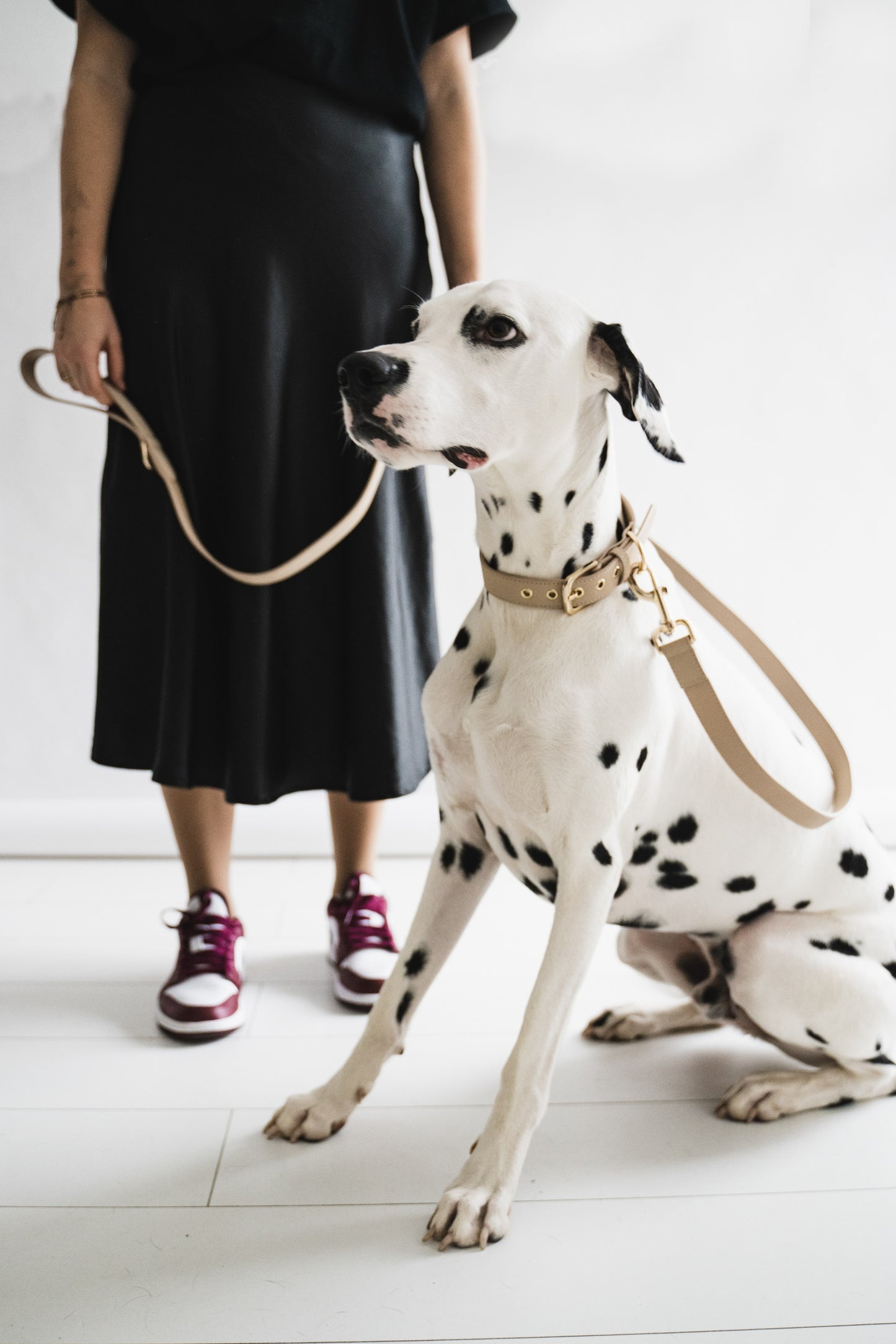 Vegan Leather Dog Leash Beige