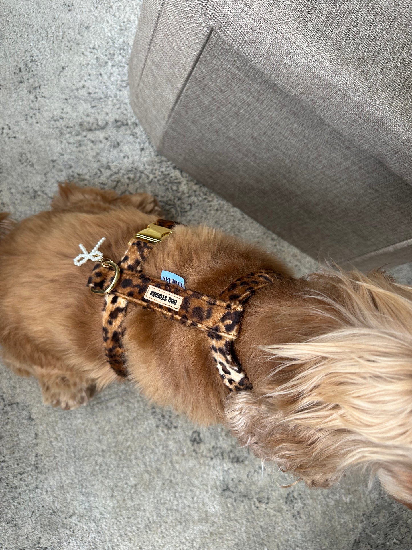 Animal Print Dog Harness