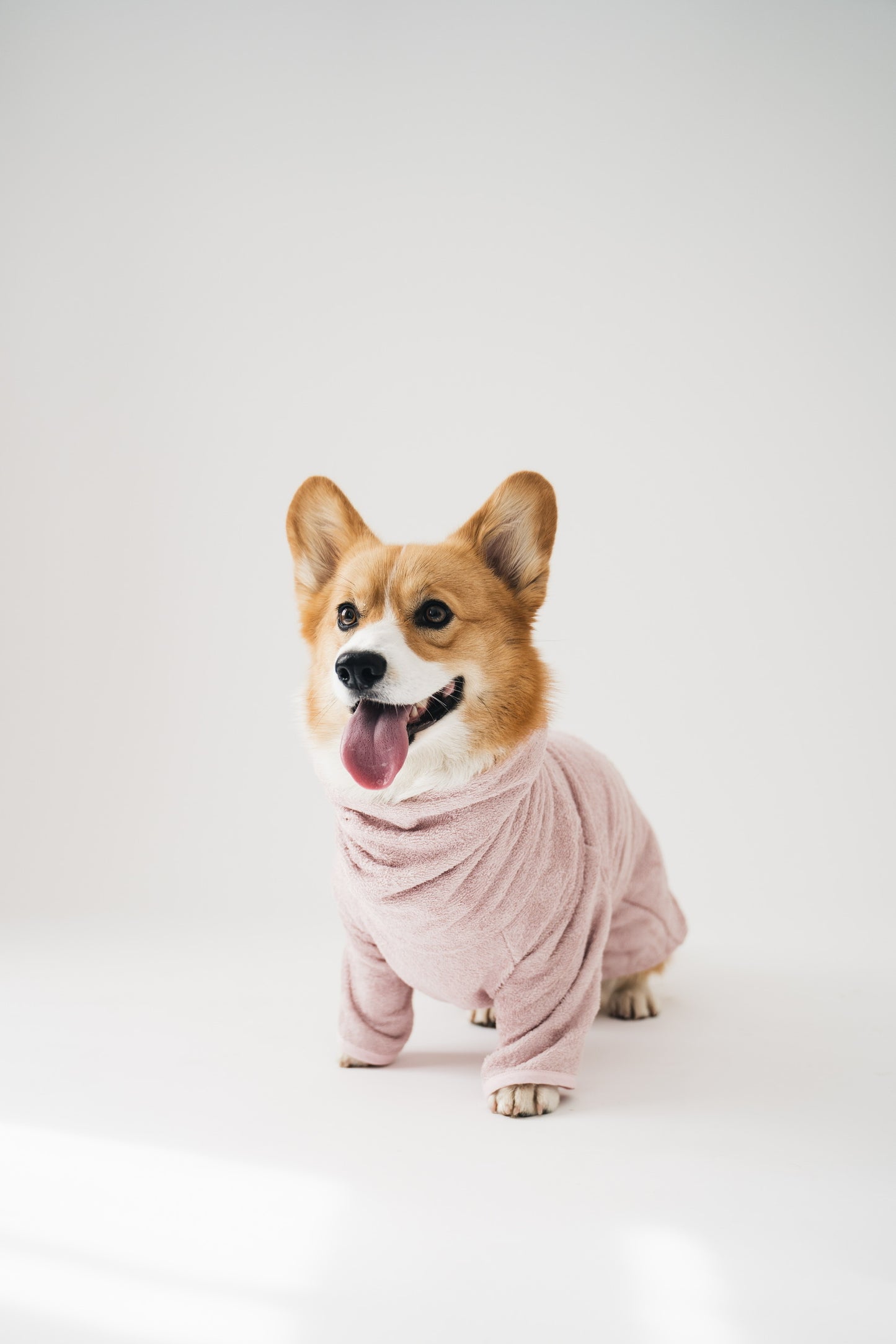 Dog Bathrobe Dusty Pink