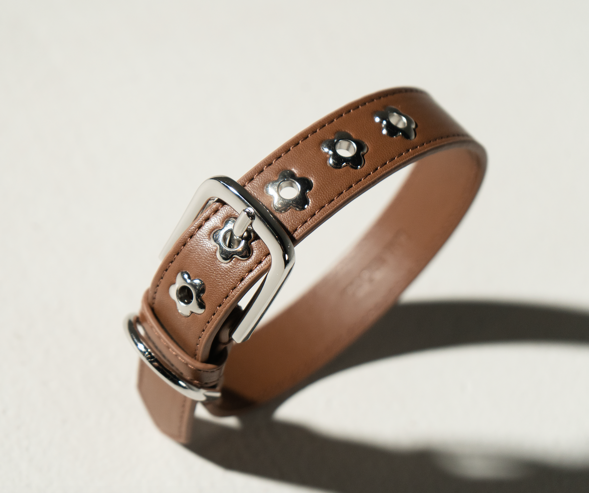 Dog Collar Brown Flower