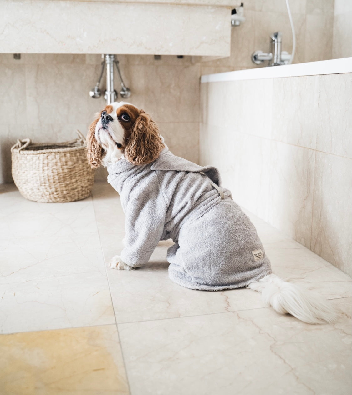 Dog Bathrobe Grey