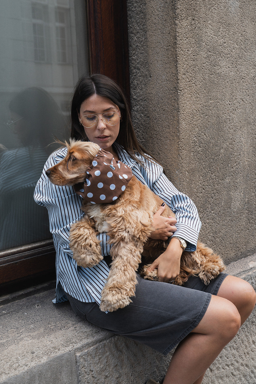 Dog Snood Brown Dots