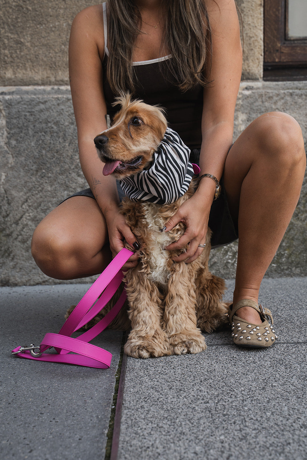 Dog Snood Zebra