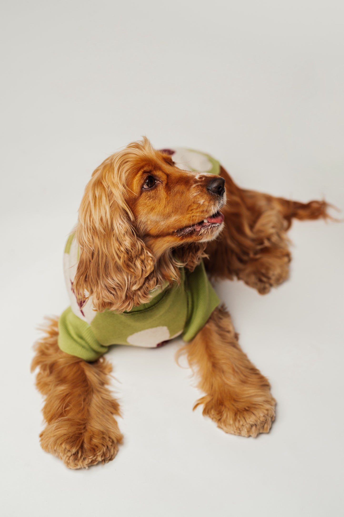 Dog Sweater Green Flowers