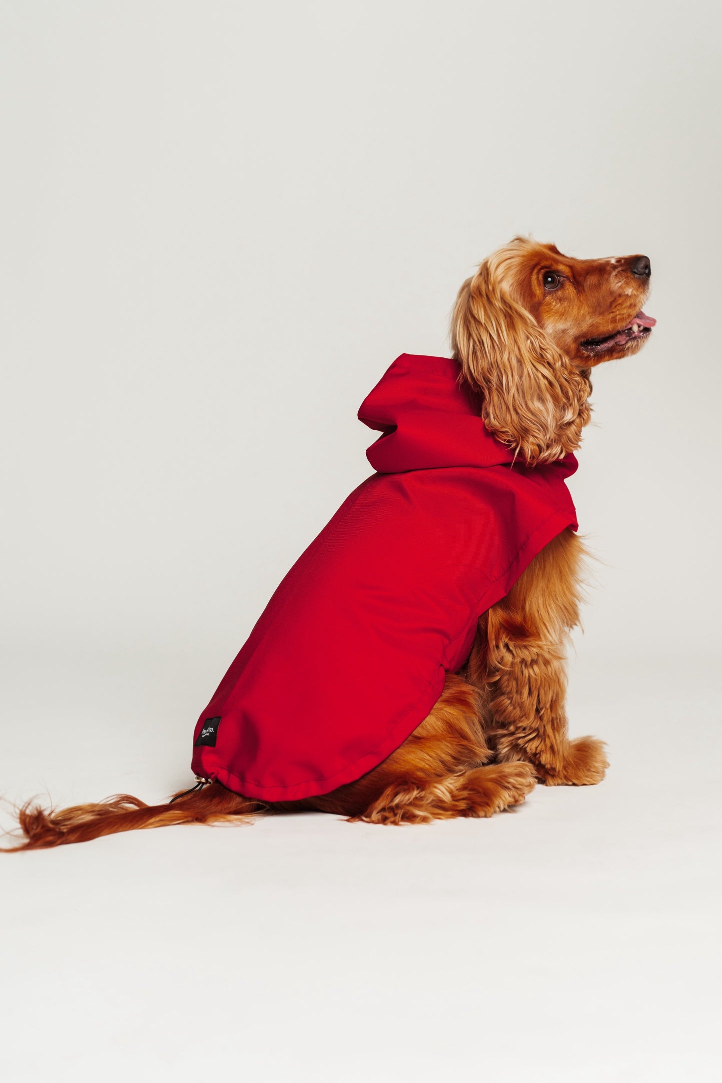 Dog Raincoat Red