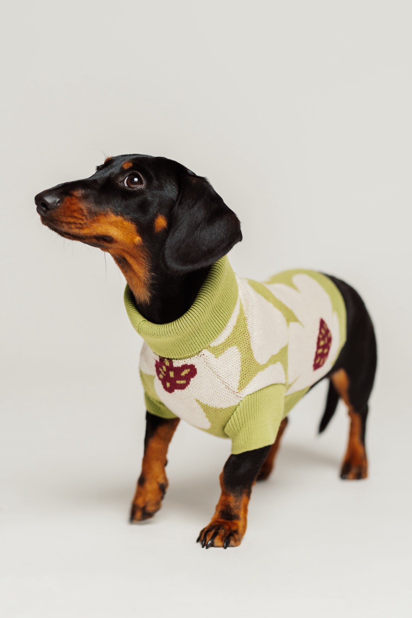 Dog Sweater Green Flowers