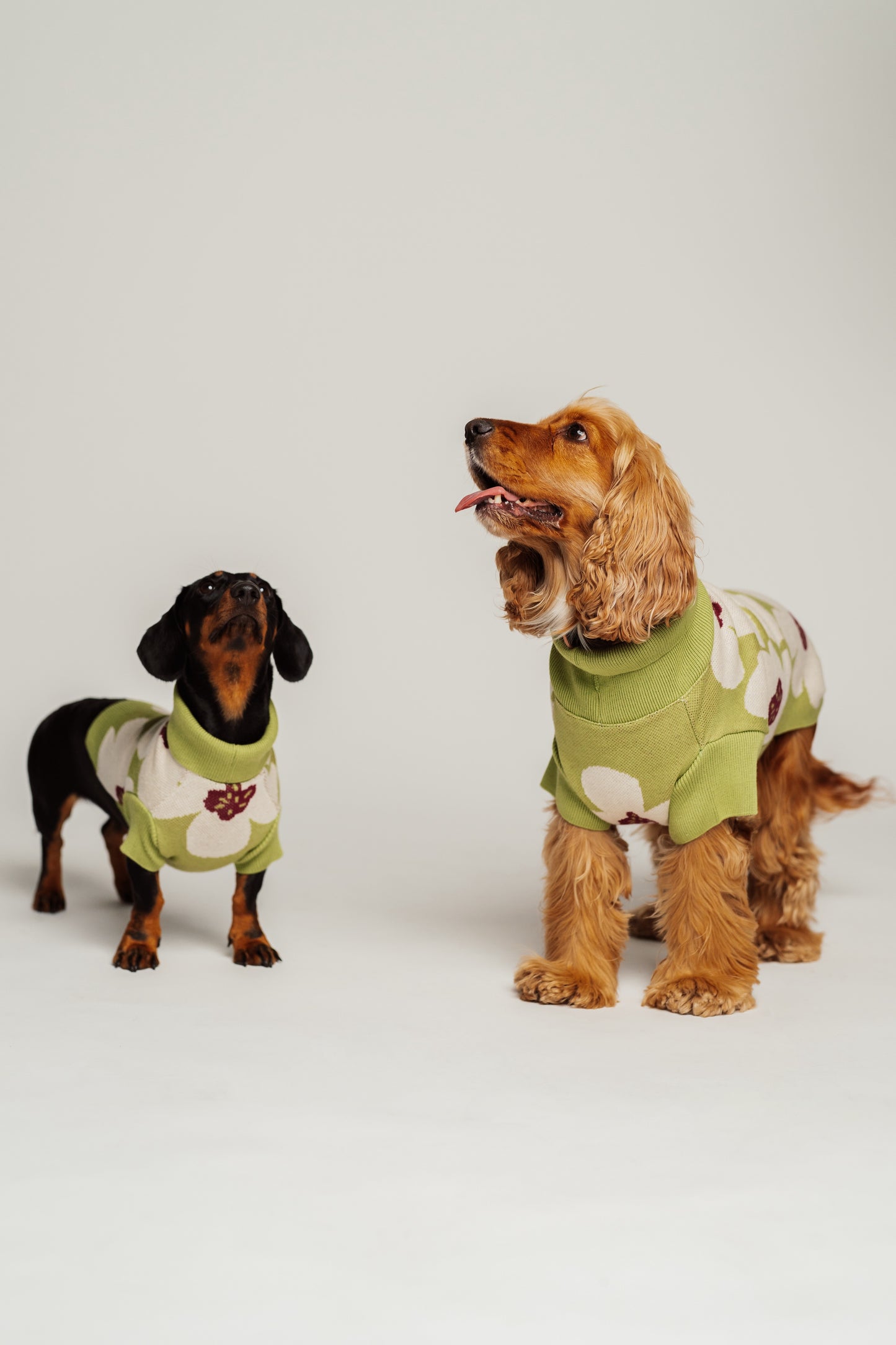 Dog Sweater Green Flowers