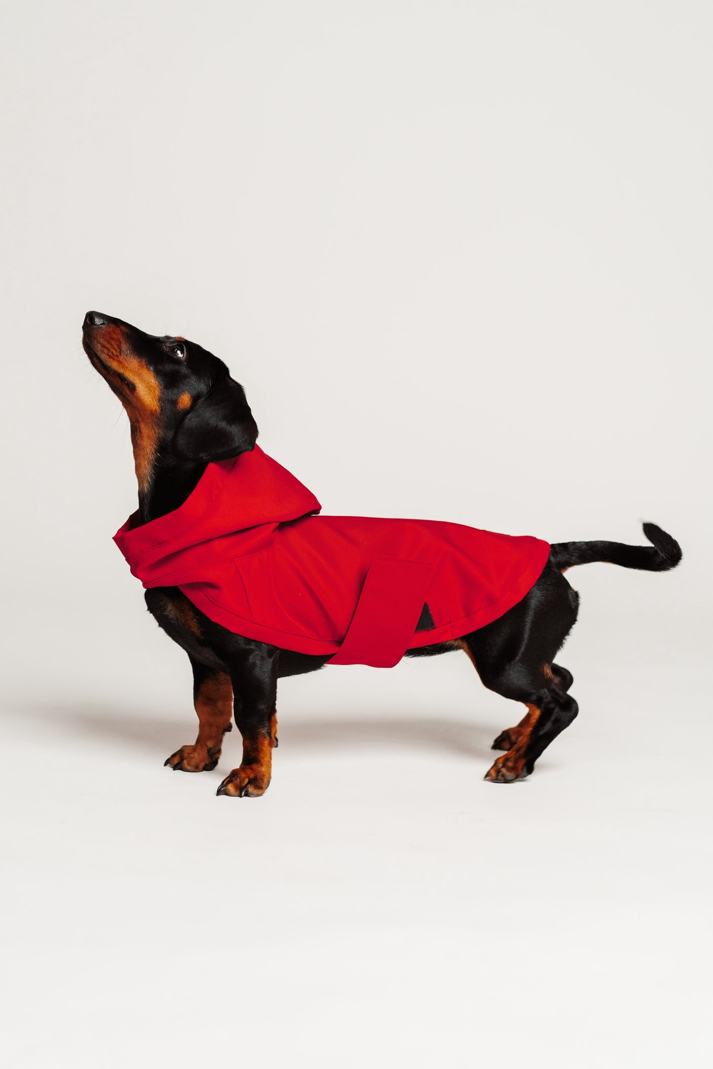Dog Raincoat Red