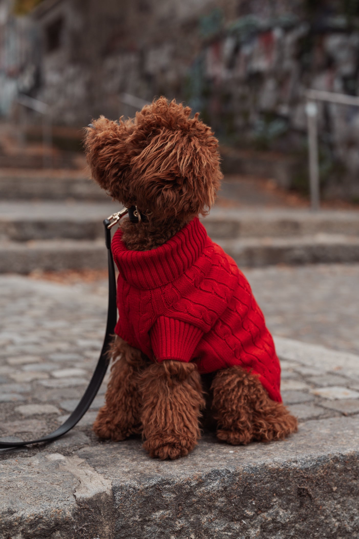 Dog Sweater Red