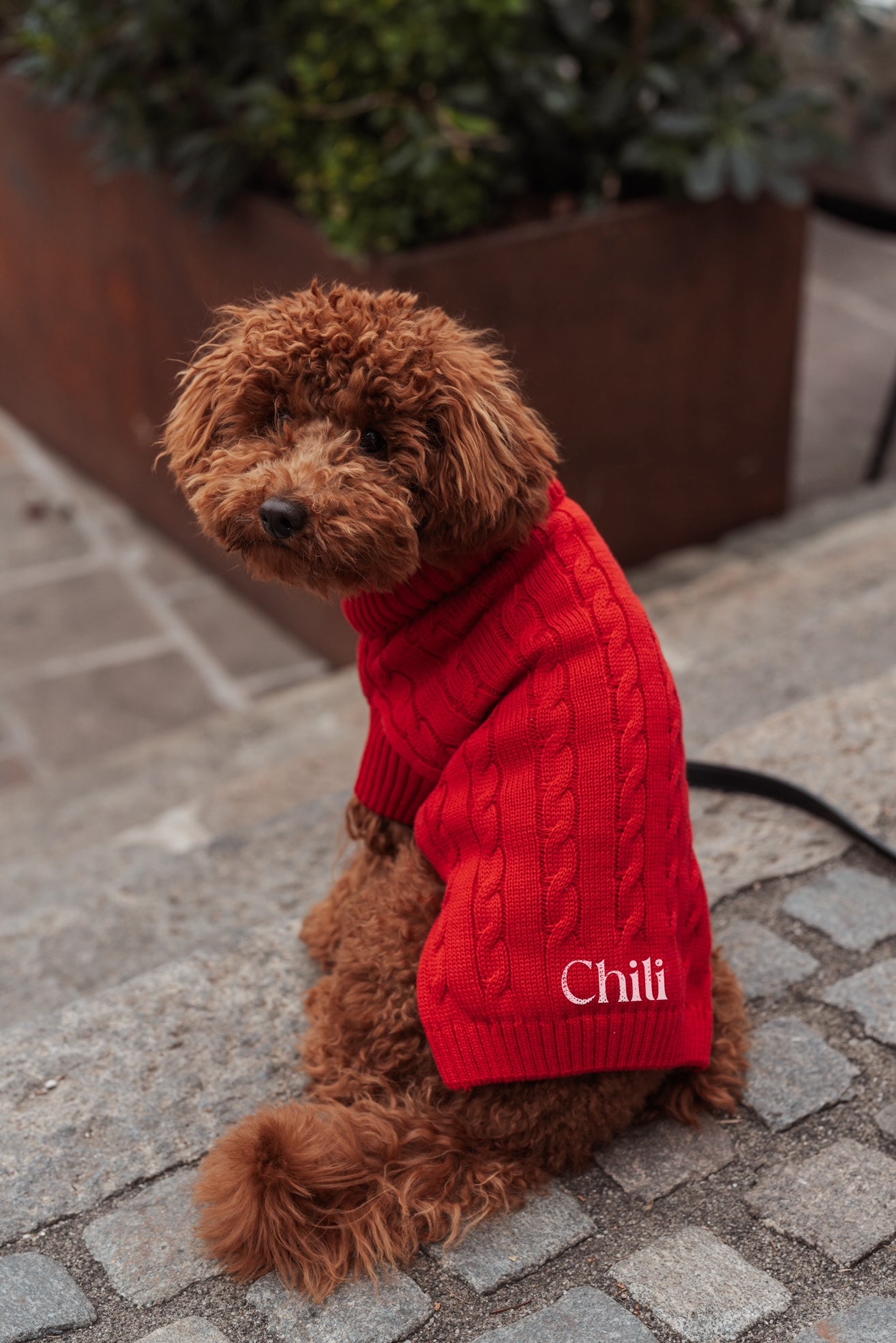 Dog Sweater Red