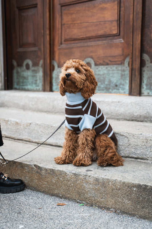Stripes Bundle Balaclava and Sweater