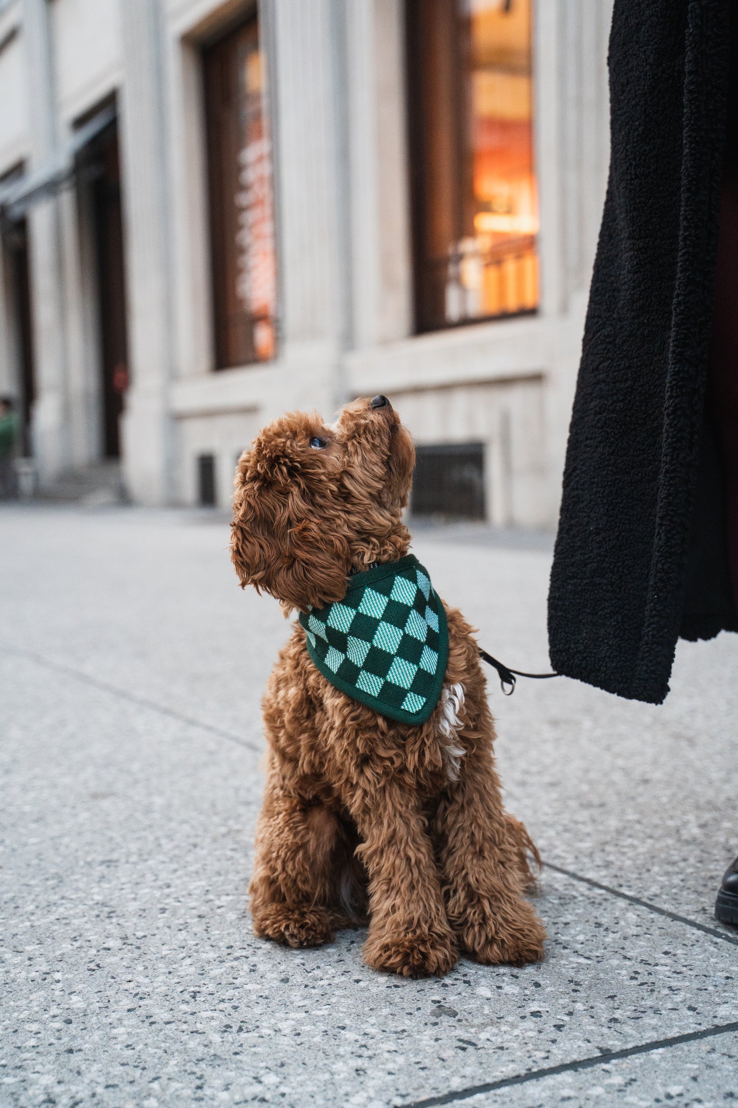 Christmas Bundle Blanket and Bandana