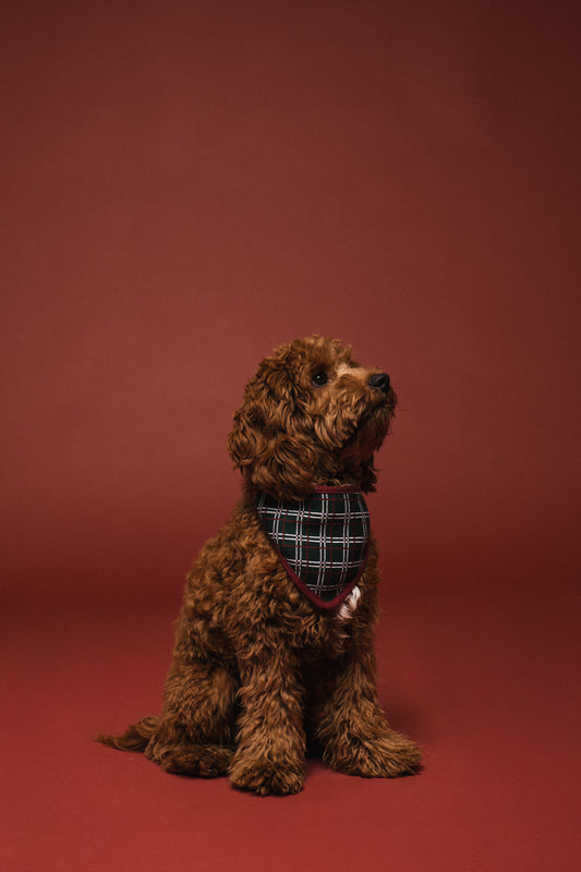 Christmas Bandana Holiday Plaid