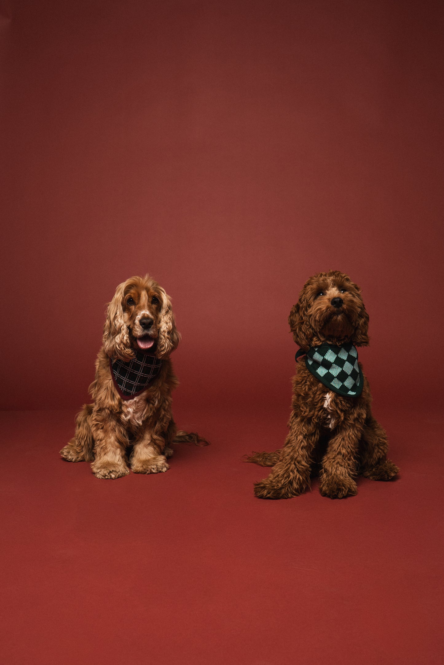 Christmas Bandana Holiday Plaid