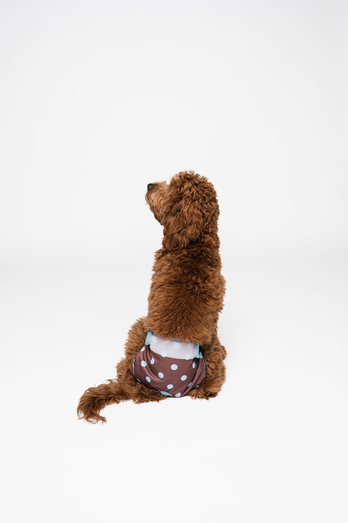 Dog Period Panties Dots