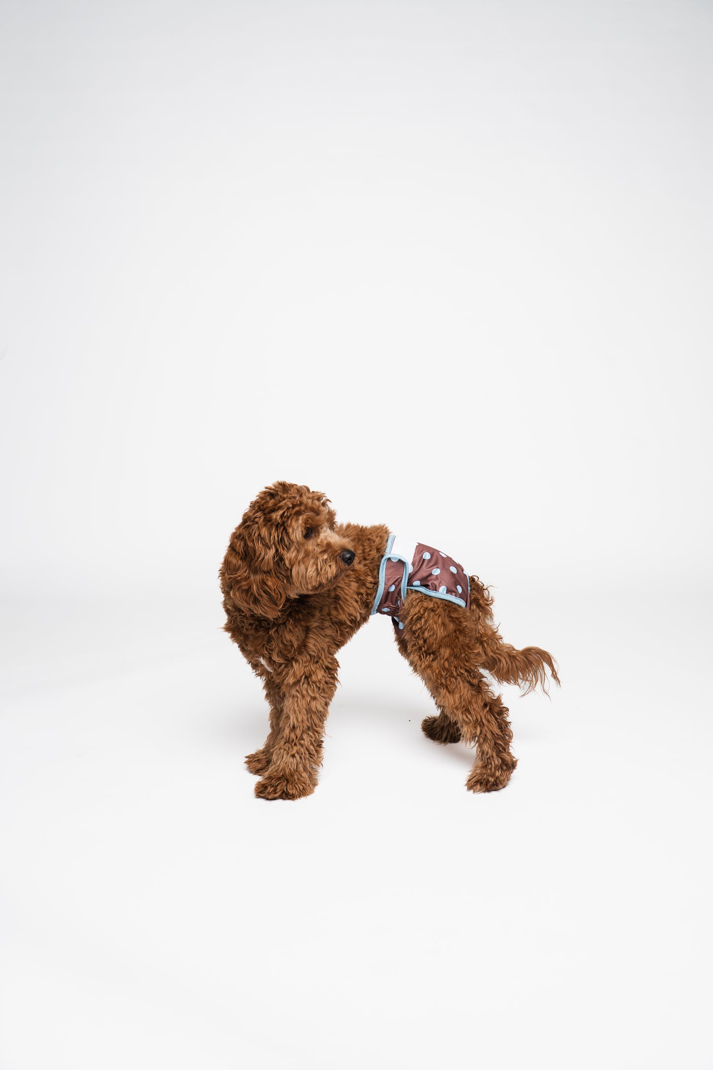 Dog Period Panties Dots