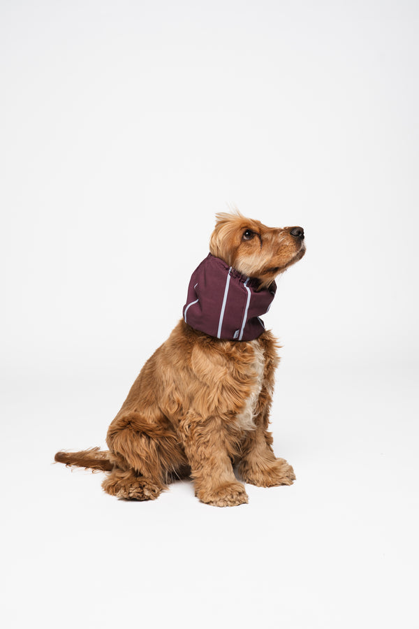 Dog Snood Burgundy