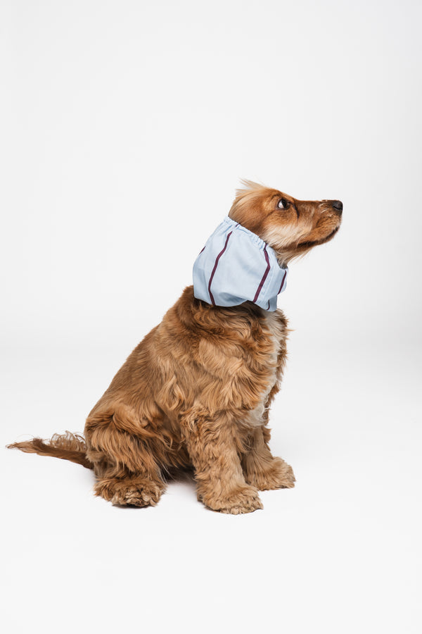 Dog Snood Snow Blue