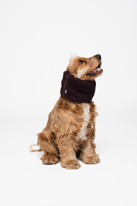 Winter Dog Snood Burgundy