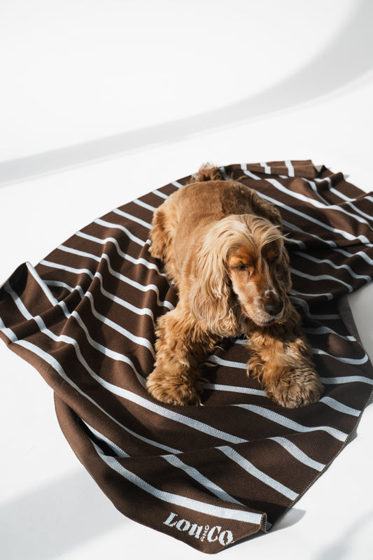 Blanket Brown Stripes