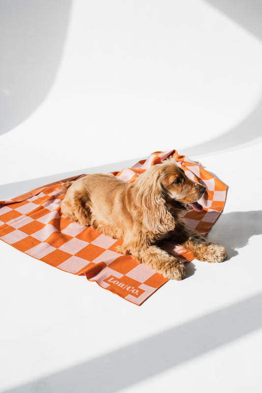 Blanket Orange Checkered