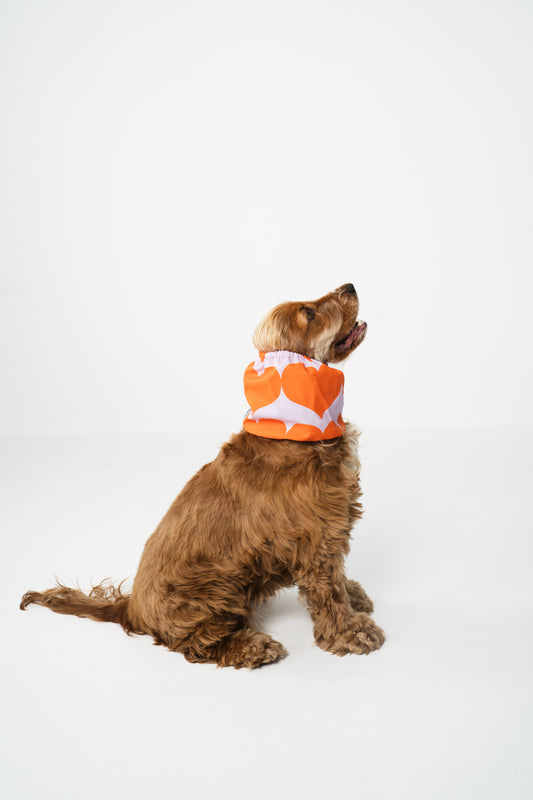 Dog Snood Orange Hearts