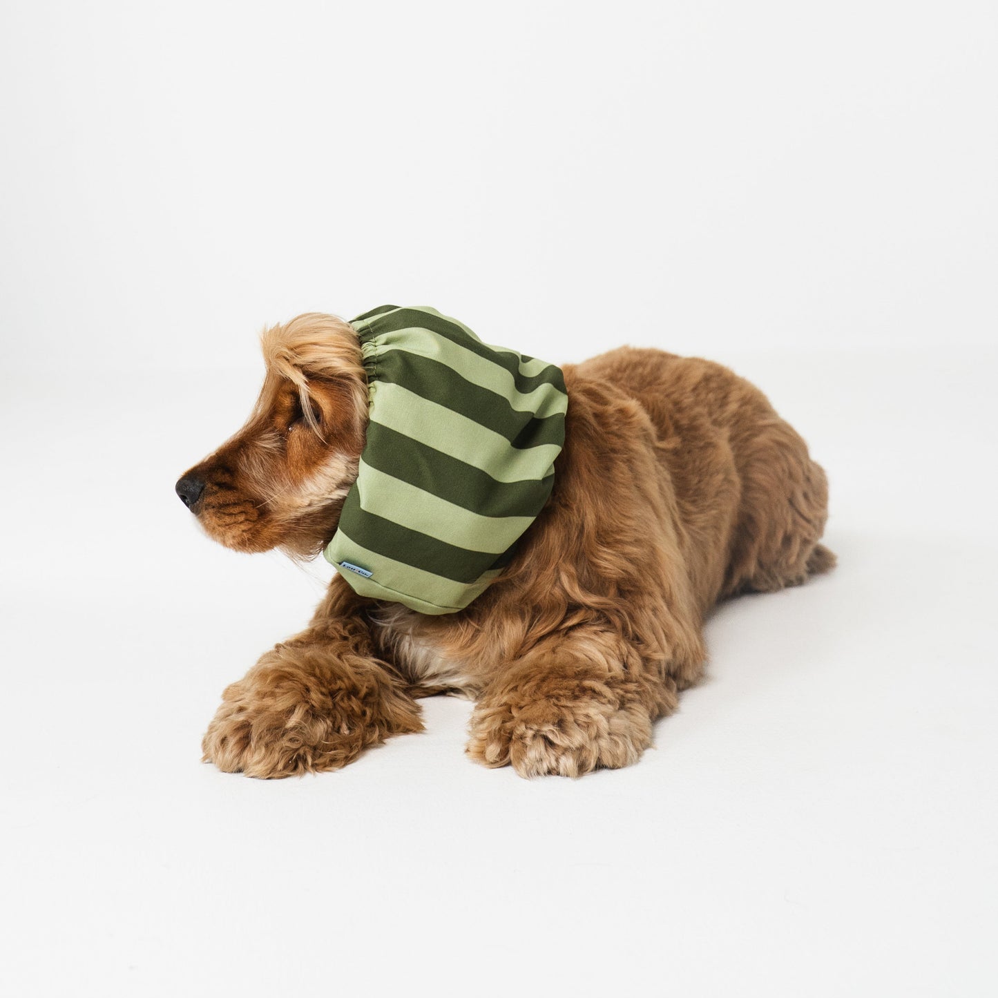 Dog Snood Stripes Green