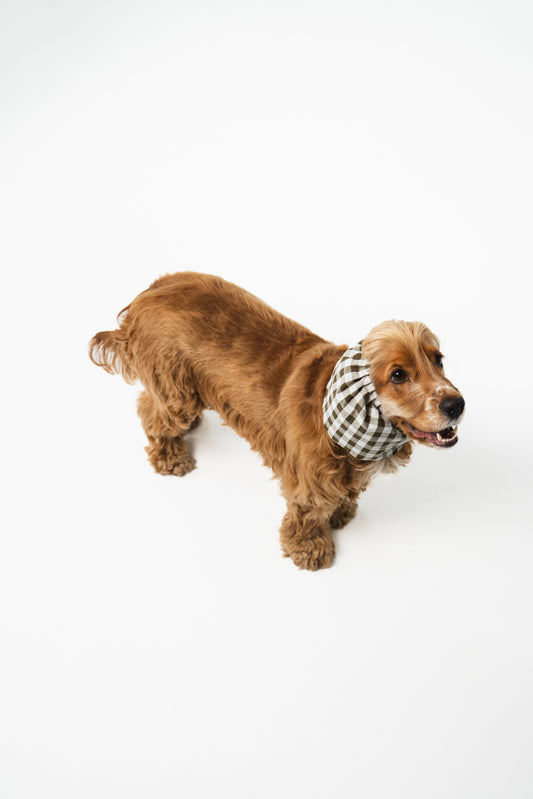 Dog Snood Summer Barcelona