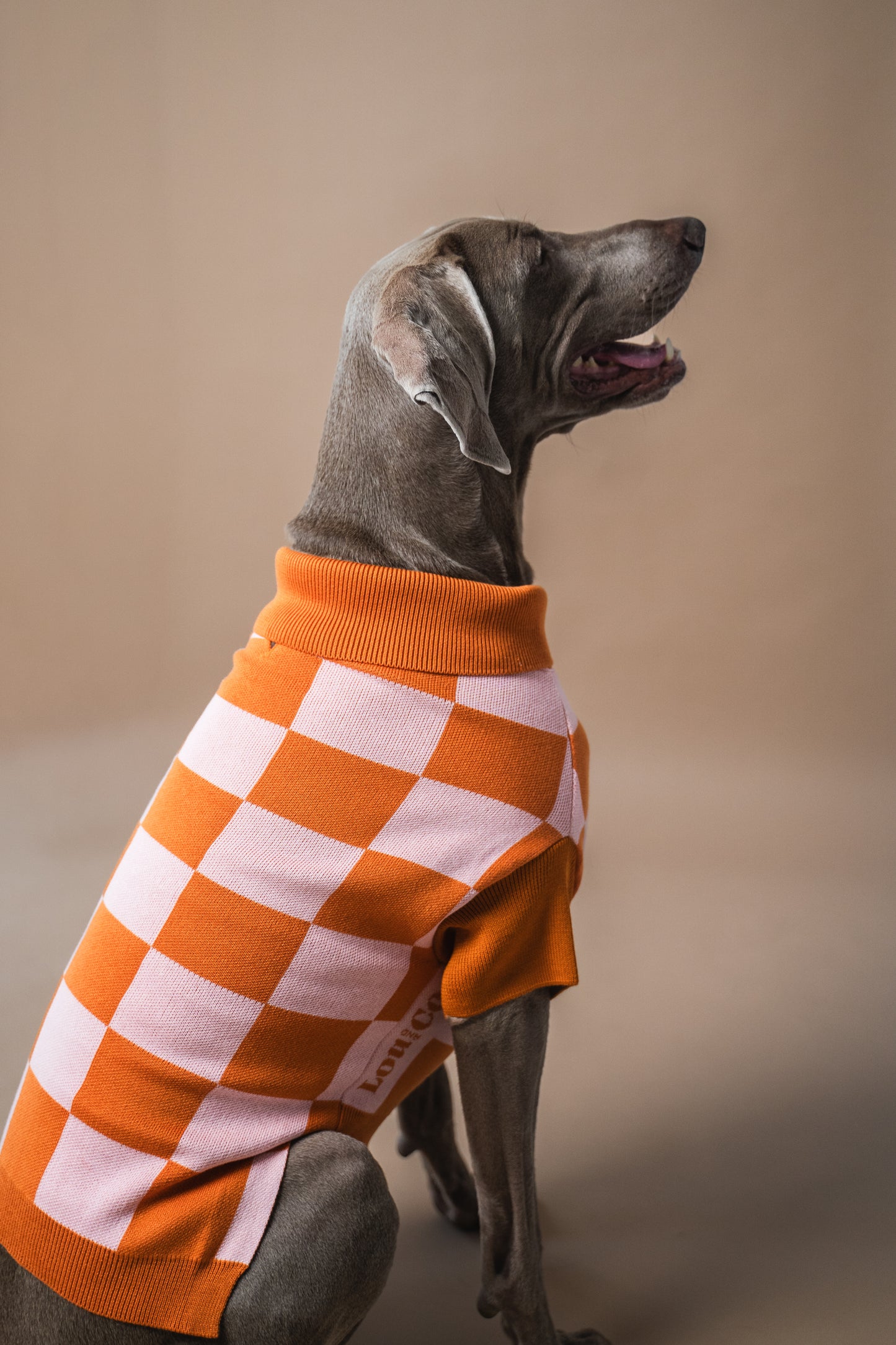 Dog Sweater Orange Checkered